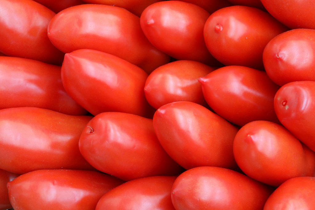 verse tomaten