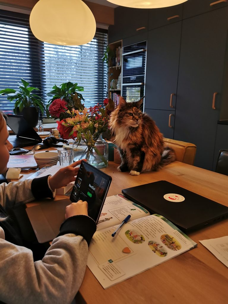 thuisonderwijs