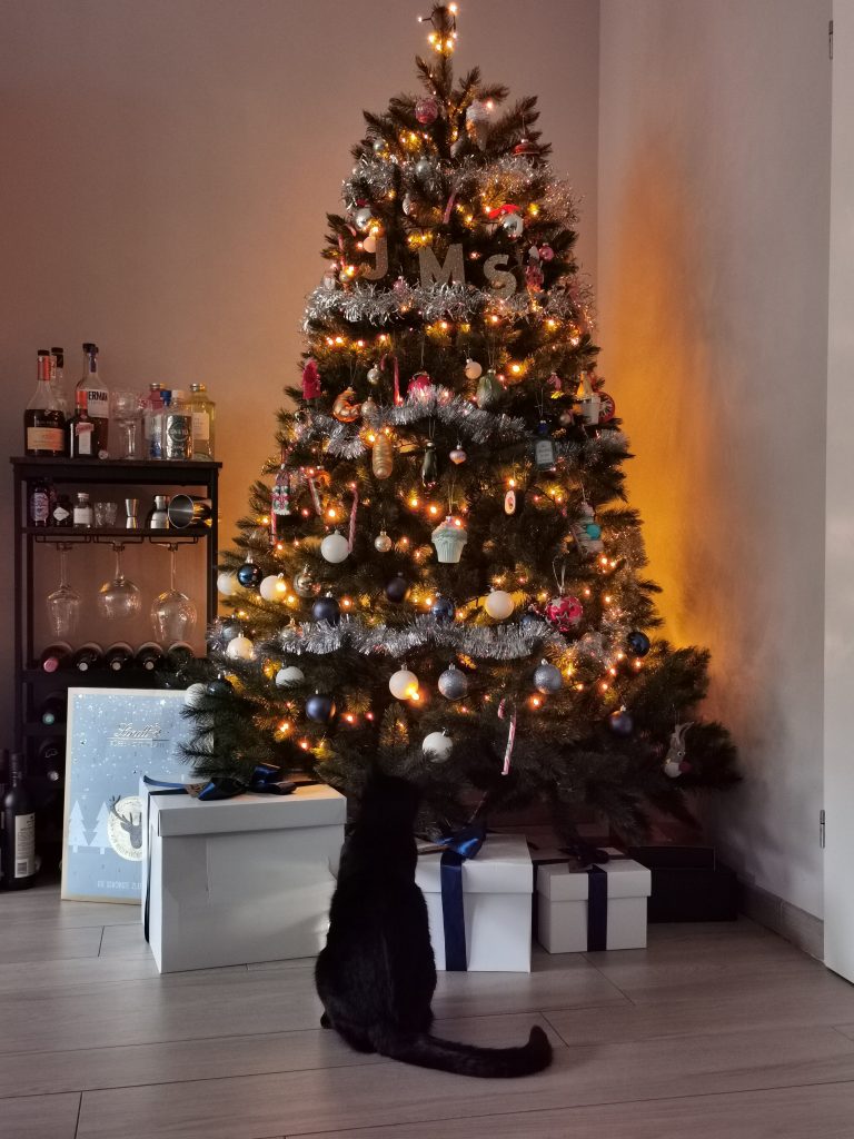 kerstboom en kat