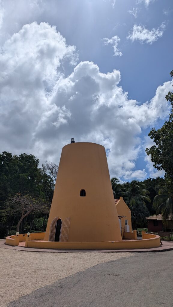 Hofi Mango Curacao