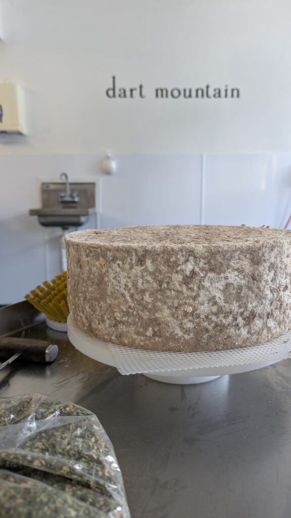 Dart Mountain cheese